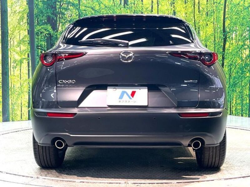 CX-30