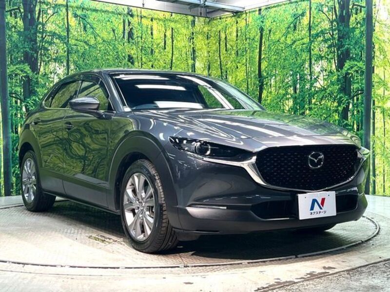 CX-30