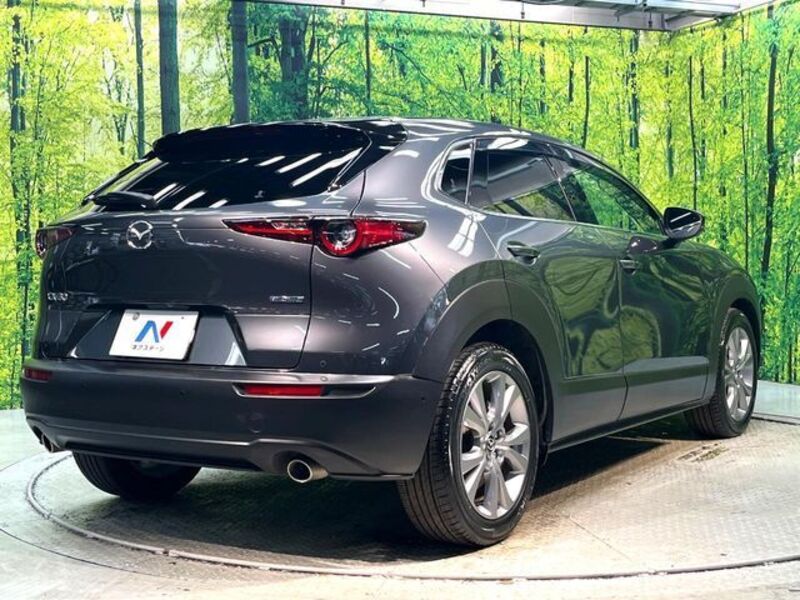 CX-30