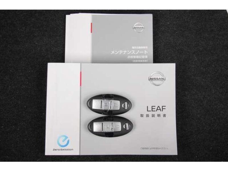 LEAF