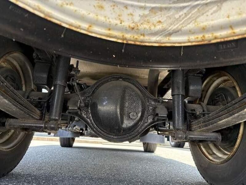 CANTER GUTS