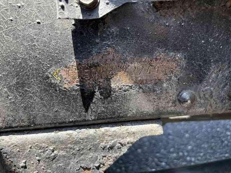 CANTER GUTS
