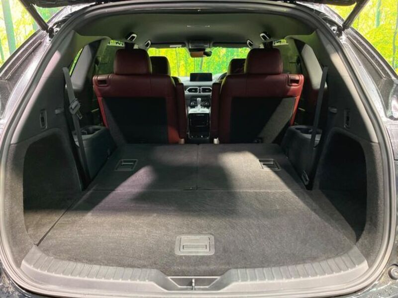 CX-8