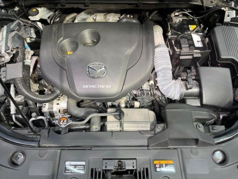 CX-8