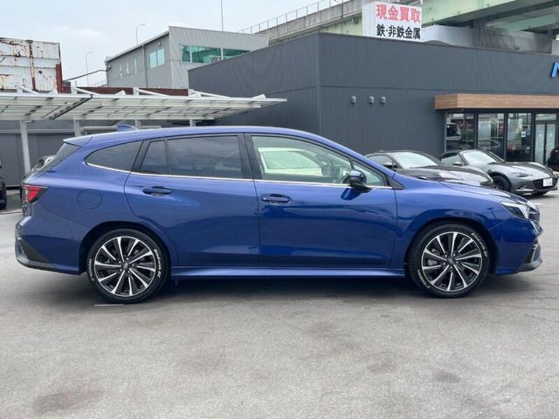LEVORG
