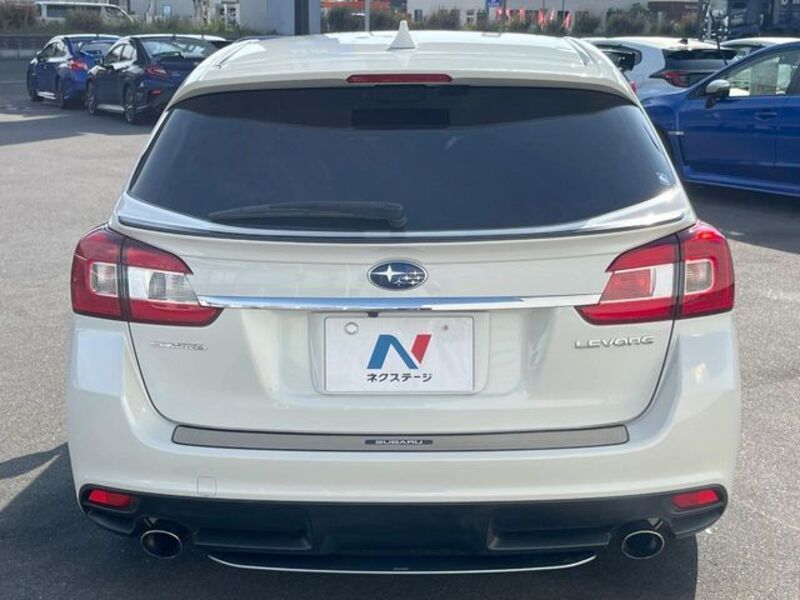 LEVORG