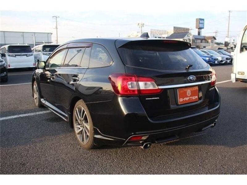 LEVORG