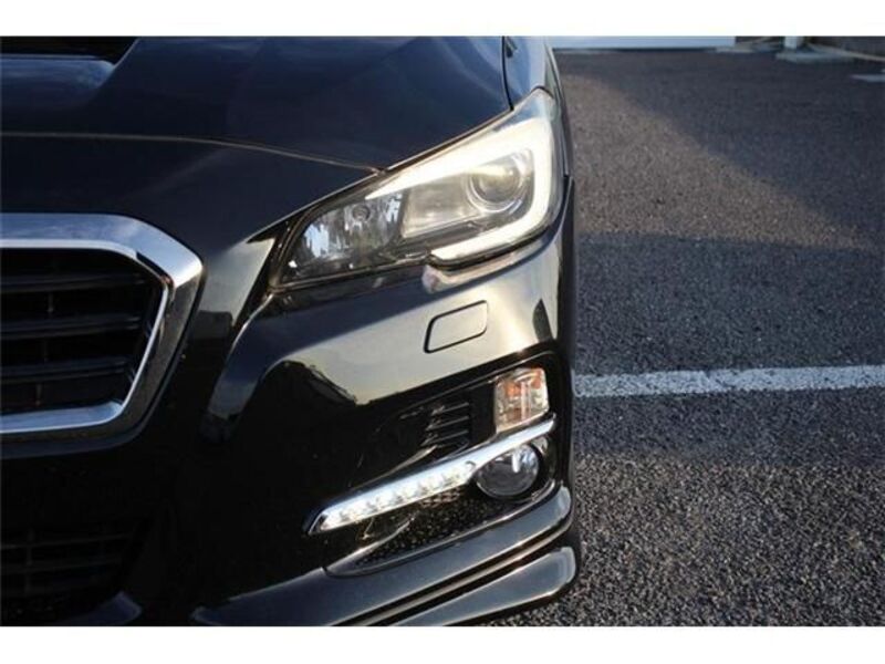 LEVORG