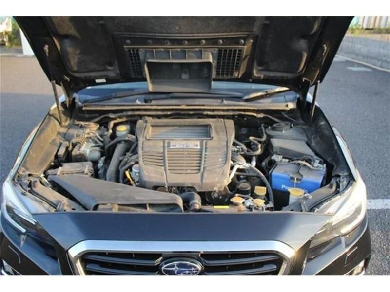 LEVORG