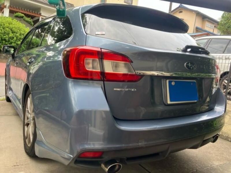 LEVORG