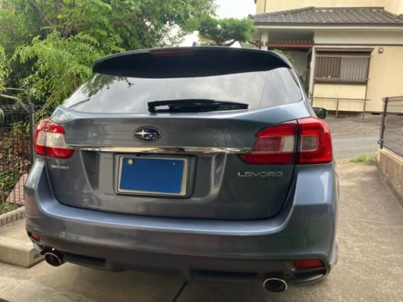 LEVORG