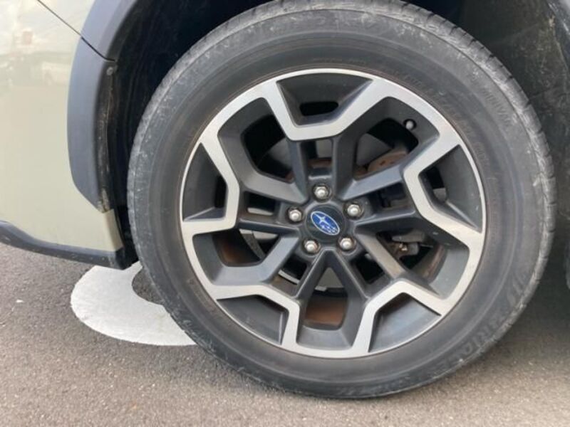 XV
