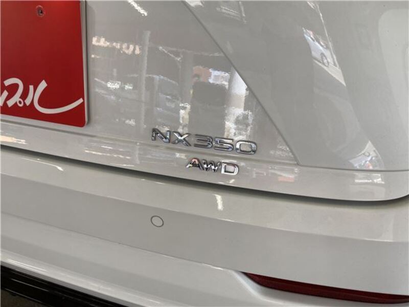 NX