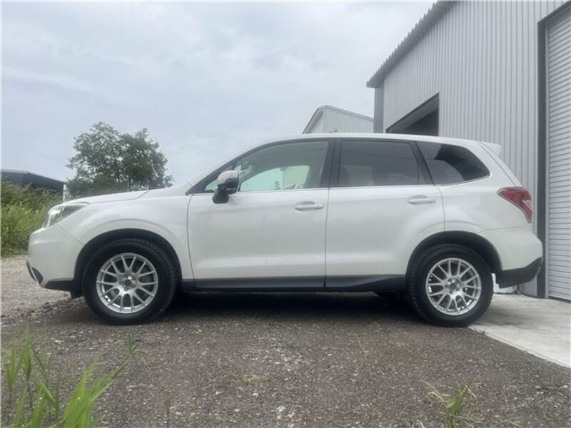 FORESTER