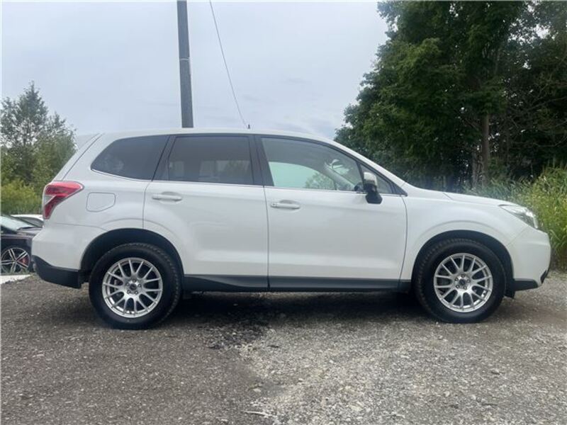 FORESTER