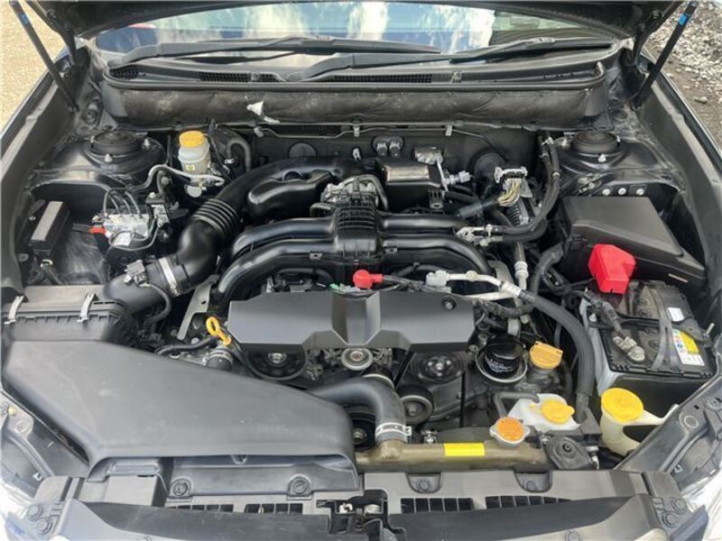 LEGACY B4