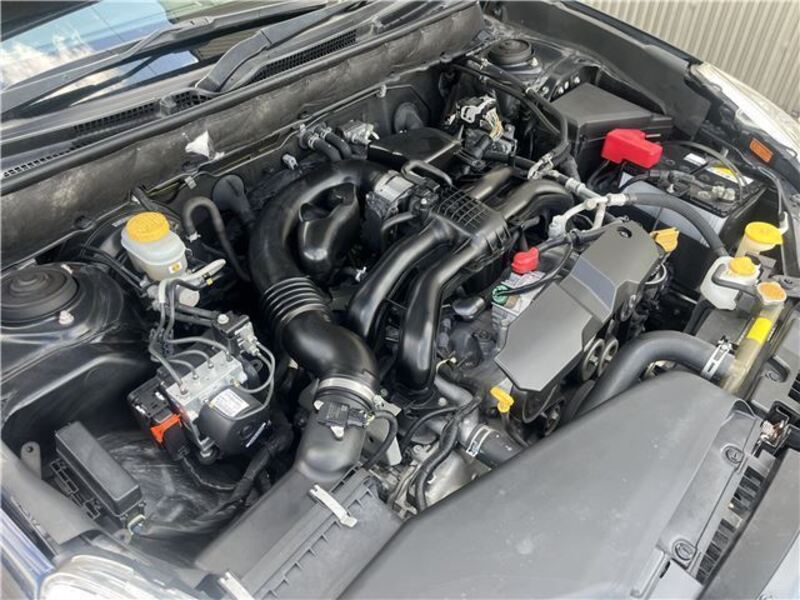 LEGACY B4