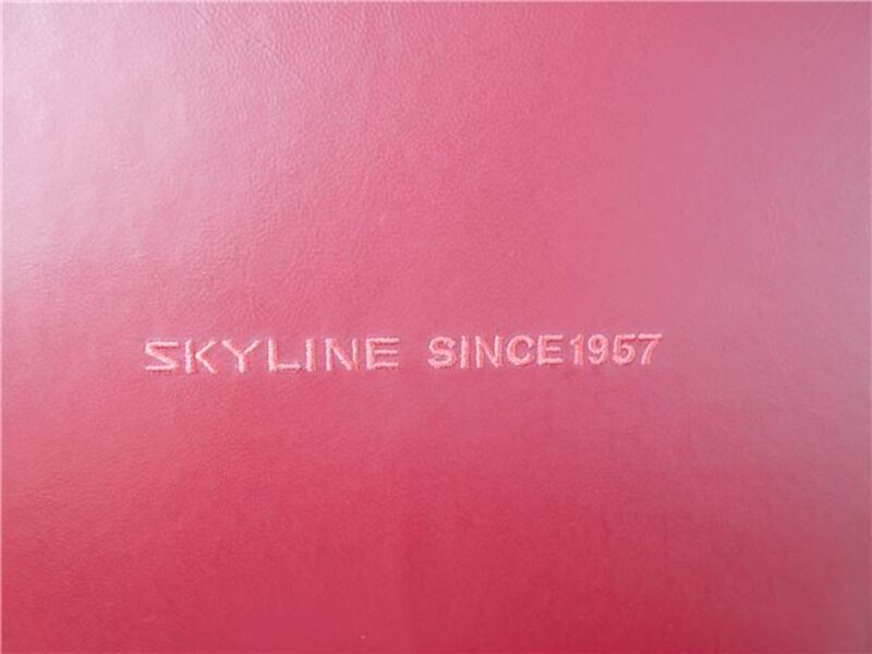 SKYLINE