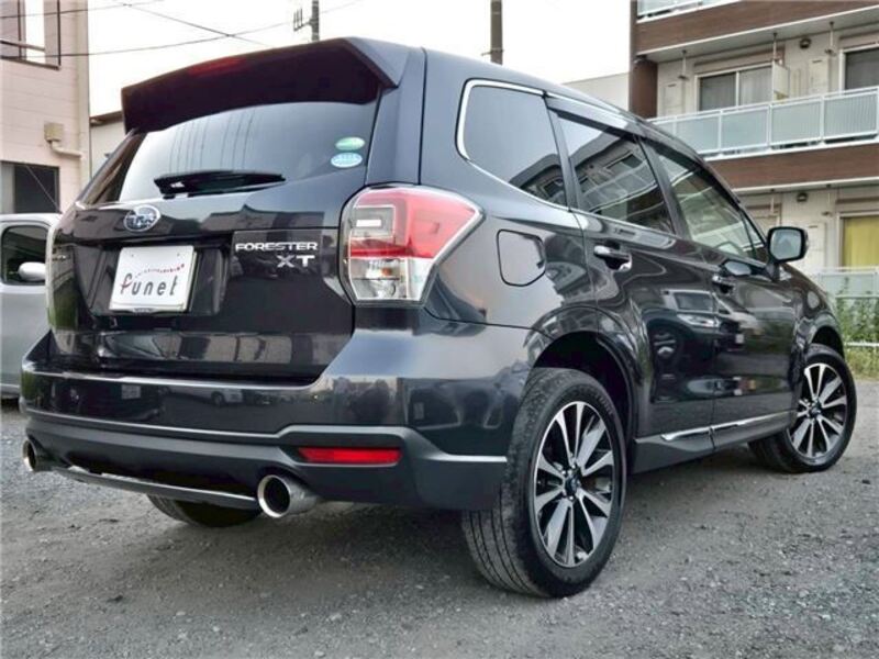 FORESTER