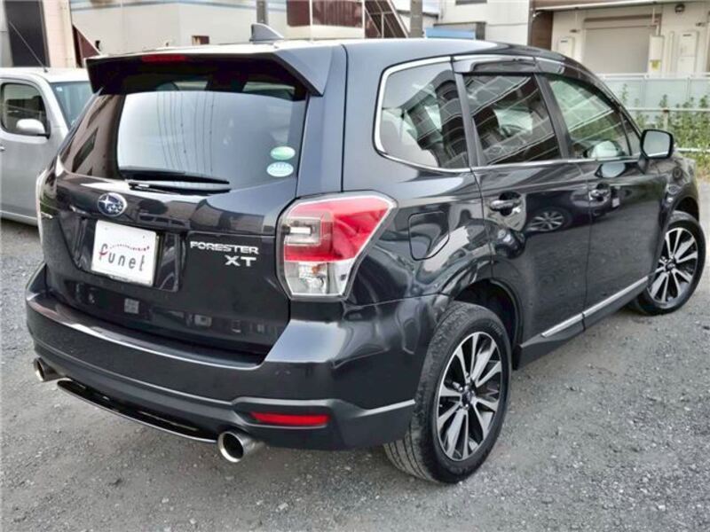 FORESTER