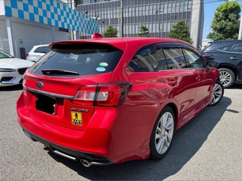 LEVORG