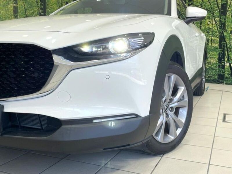 CX-30