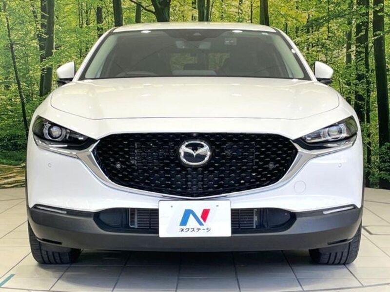 CX-30