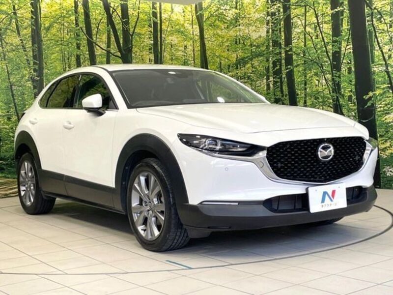 CX-30