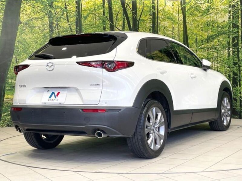 CX-30
