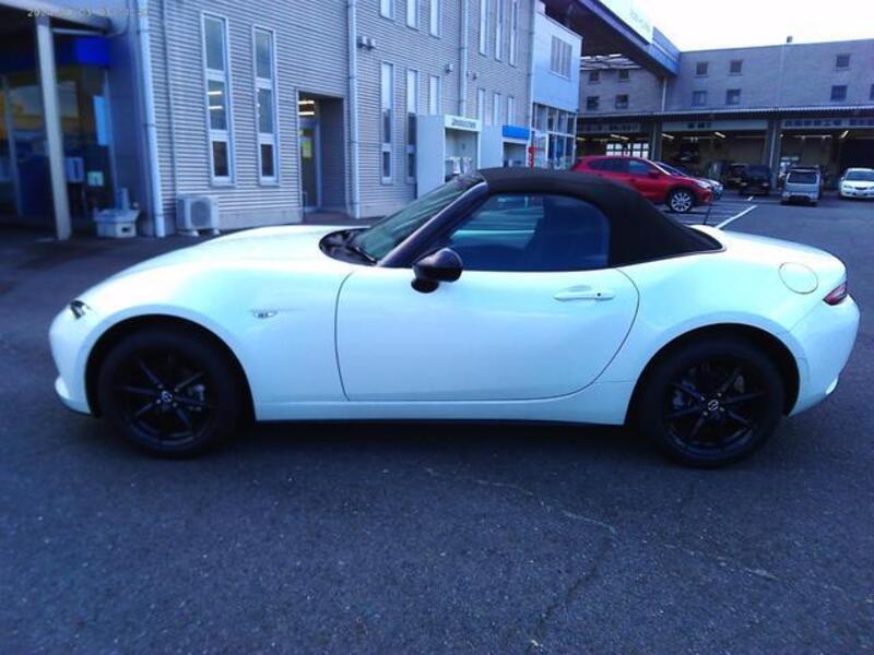 ROADSTER