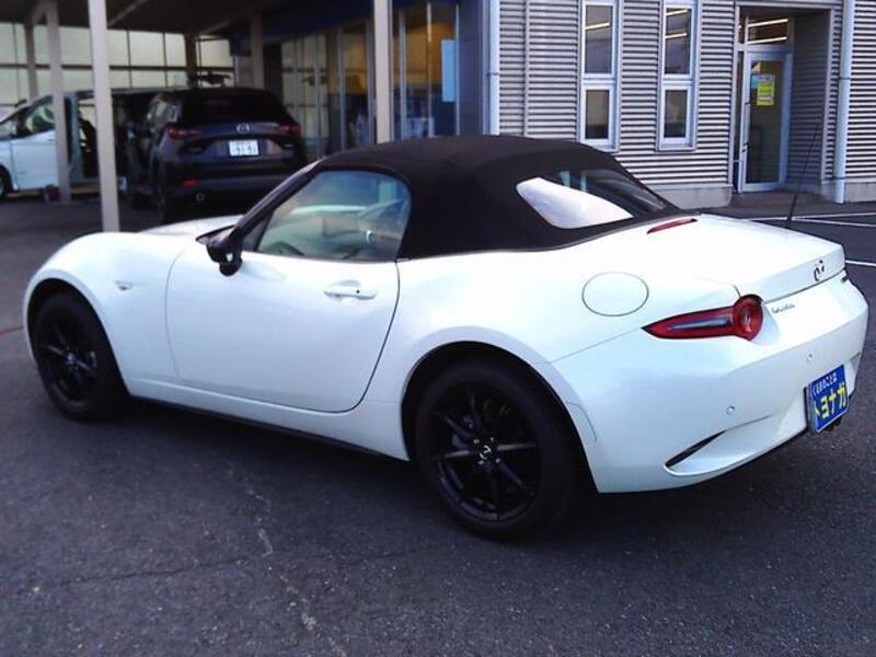 ROADSTER