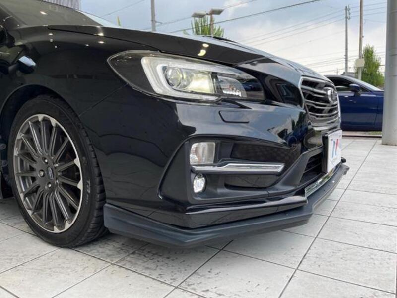 LEVORG