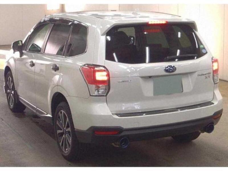 FORESTER