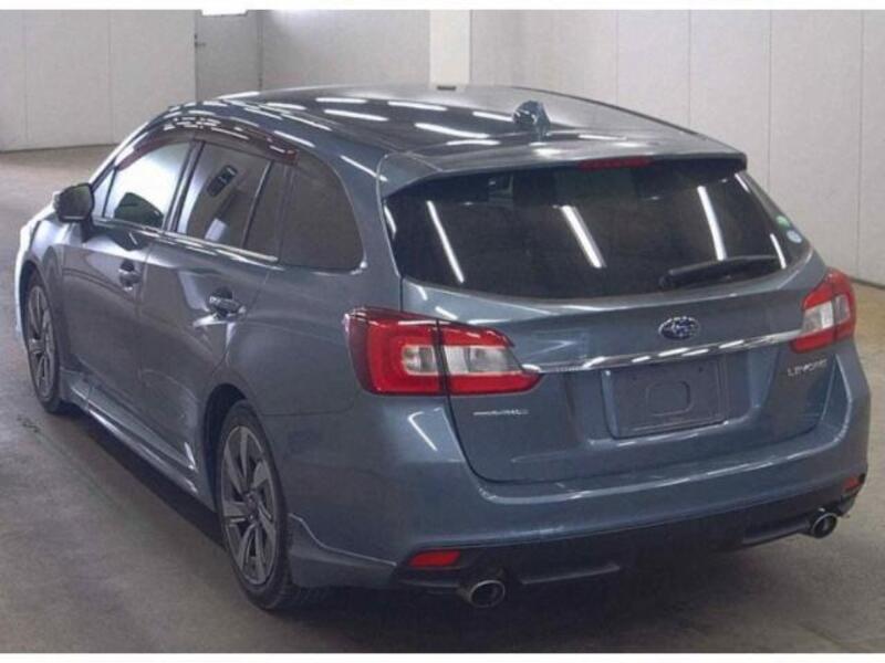 LEVORG