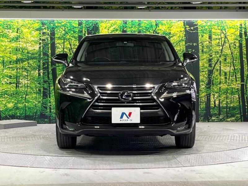 NX