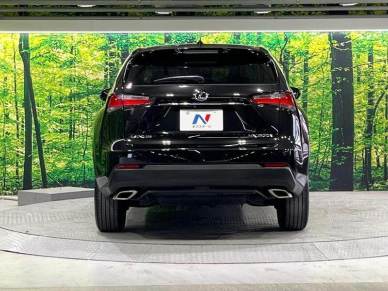 NX