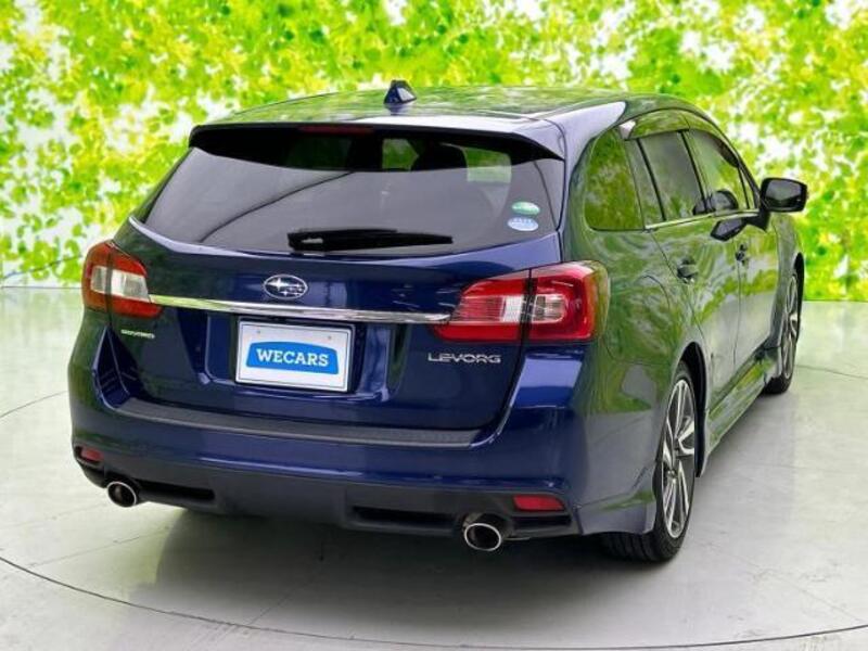 LEVORG