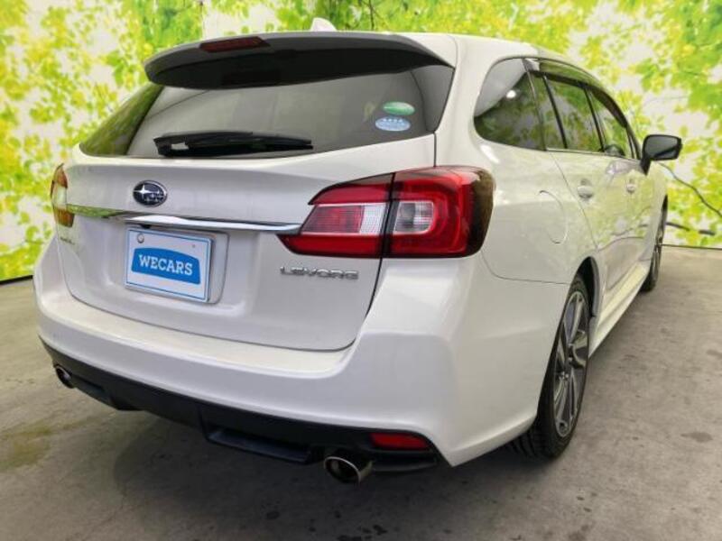 LEVORG