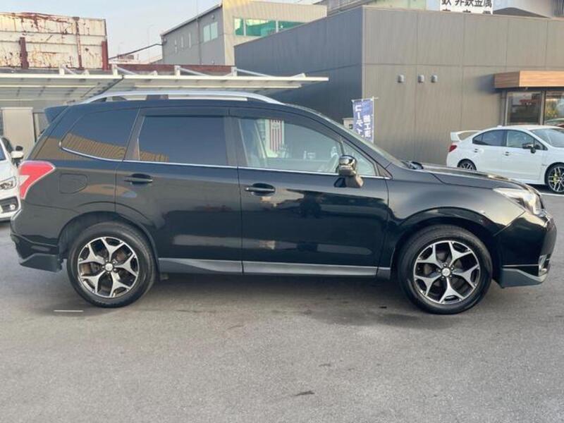 FORESTER