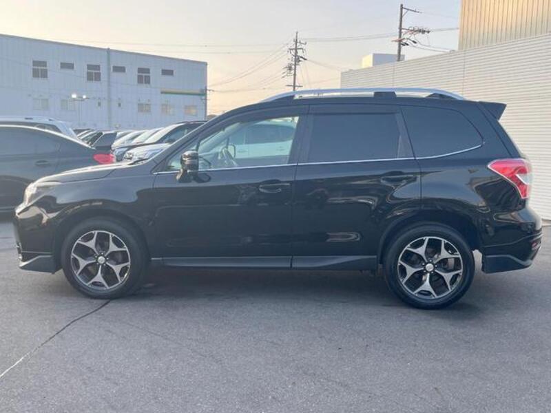 FORESTER