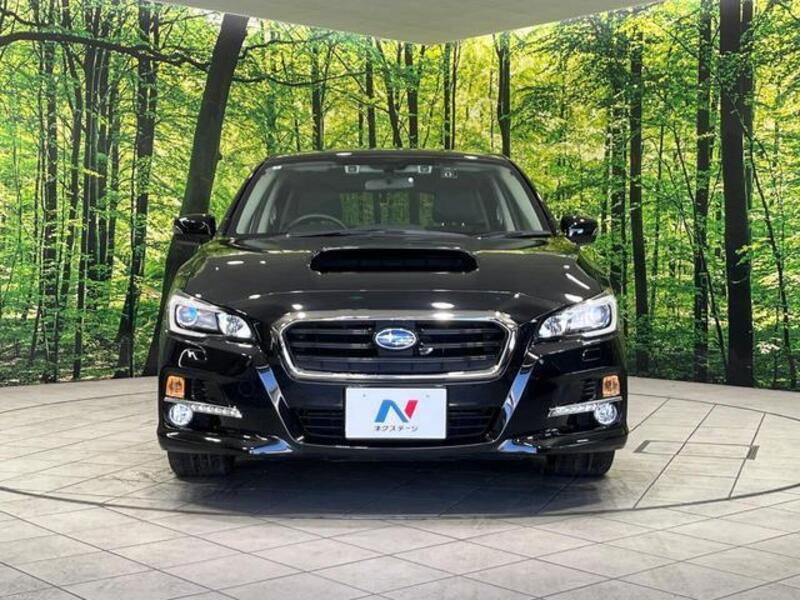 LEVORG
