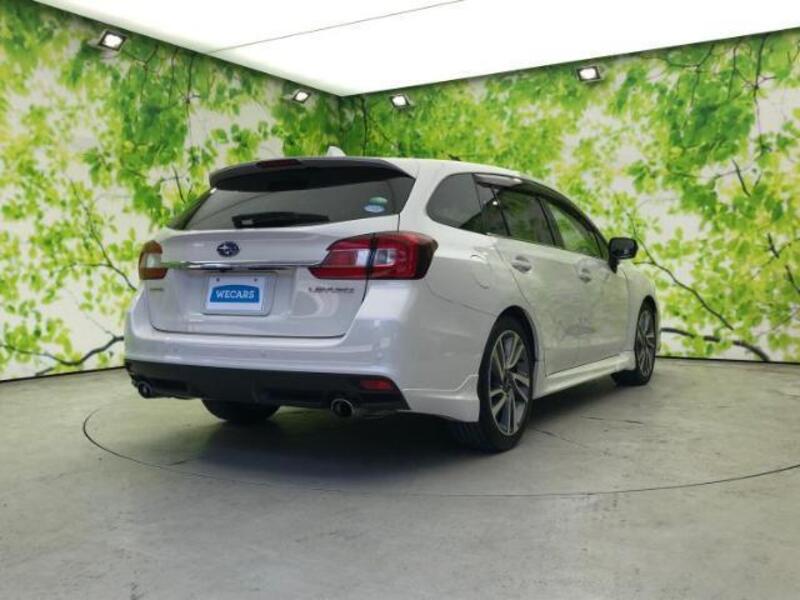 LEVORG