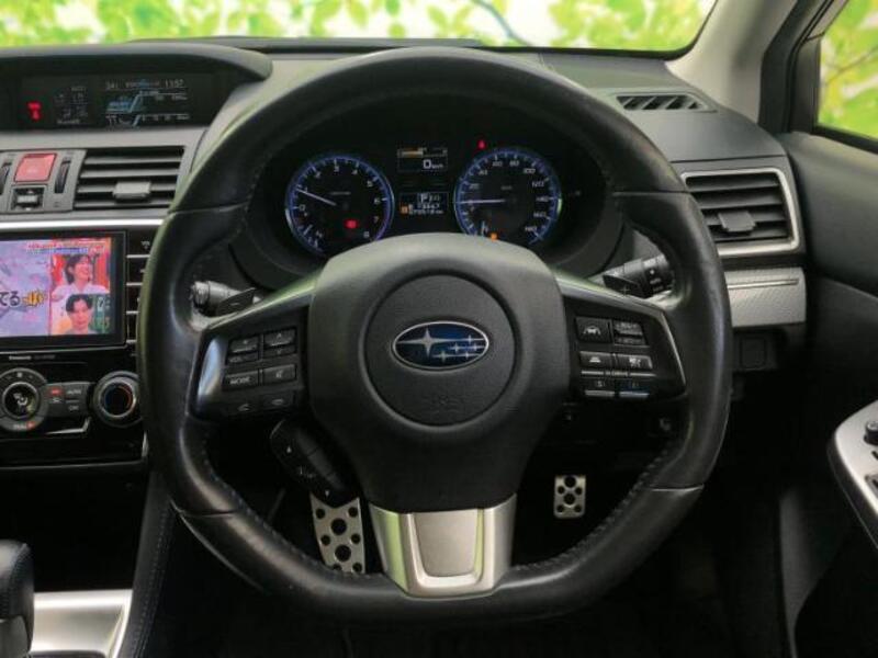 LEVORG