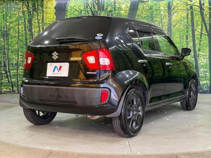 IGNIS