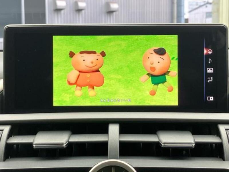 NX