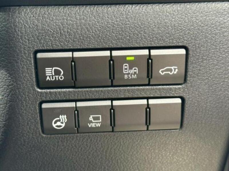 NX