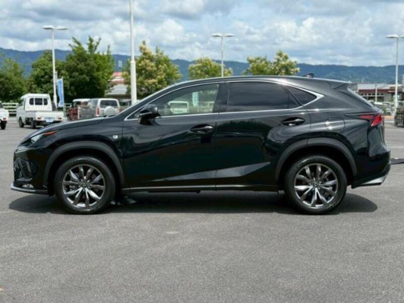 NX