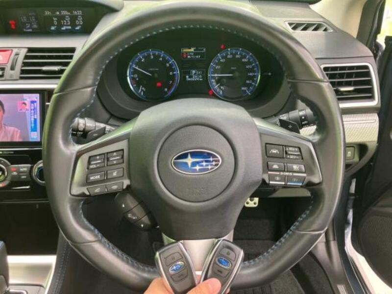 LEVORG