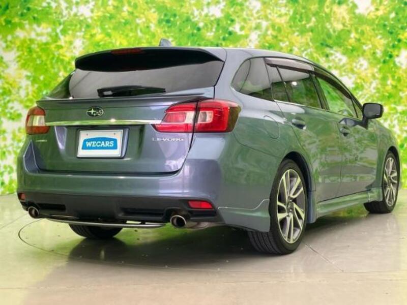 LEVORG