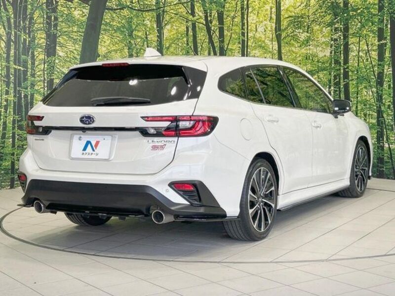 LEVORG